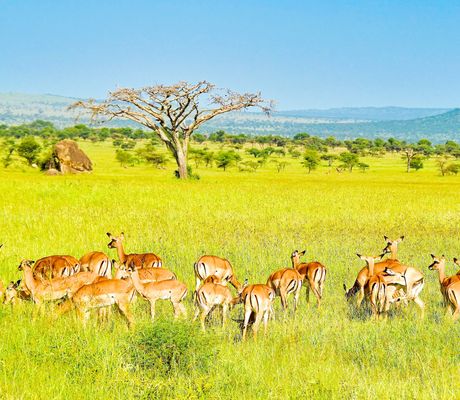 Přírodní rezervace