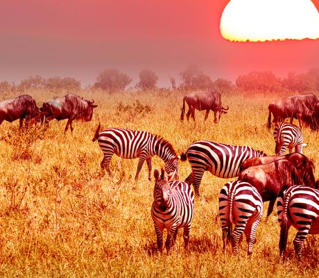 Přírodní rezervace