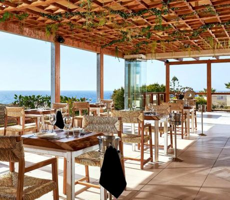 Hotel Vasia Sea Retreat