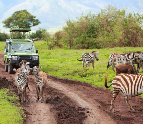Safari Selous S Relaxem Na Zanzibaru