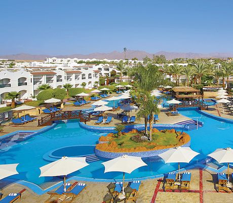 Sharm Dreams