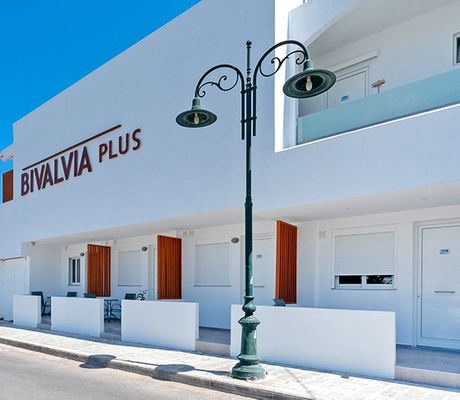 Bivalvia Beach Plus