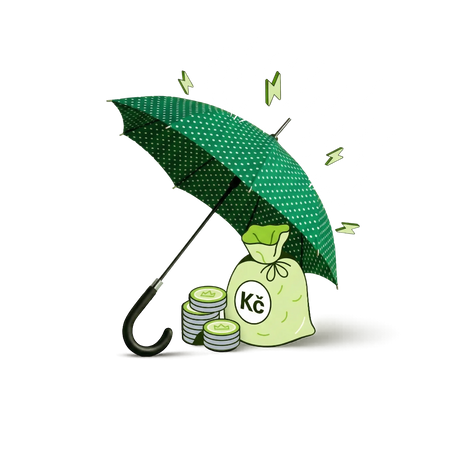 Pojištění půjčky