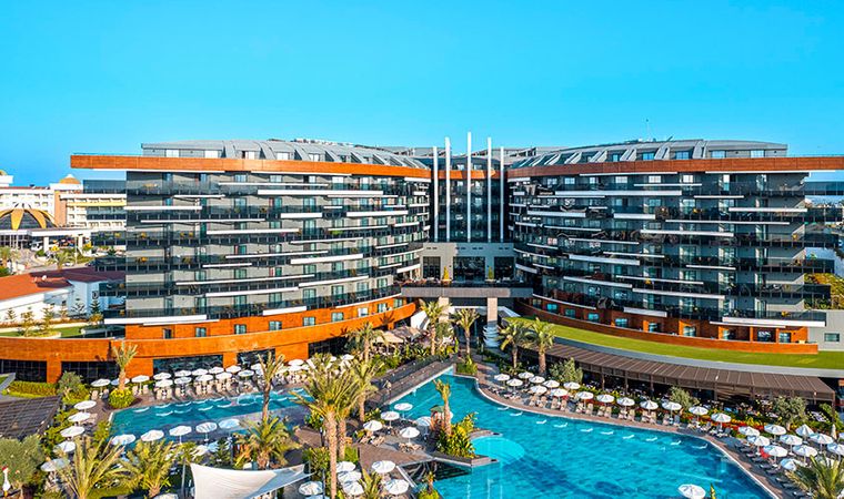 Kirman Premium Calyptus