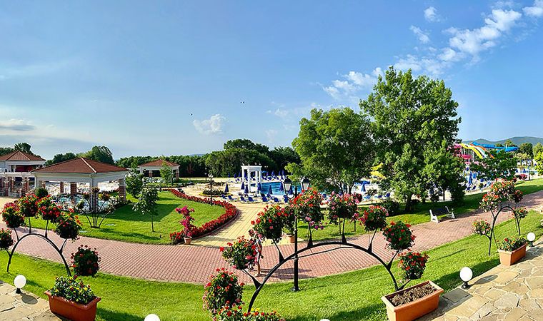 Ogród