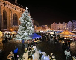 Vánoční strom Plzeň