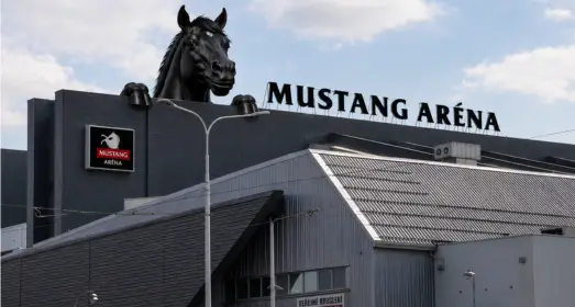 Aktuality arena