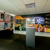 Slavia Museum a Stadium Tour