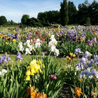 Průhonická botanická zahrada