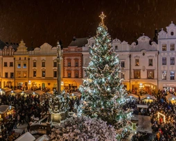 Rozsvícení vánočního stromu na náměstí v Pardubicích