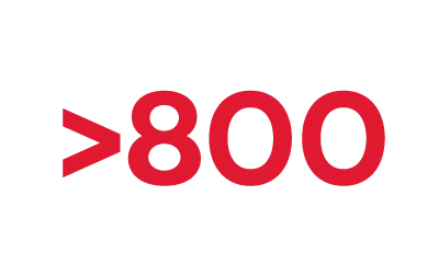 800