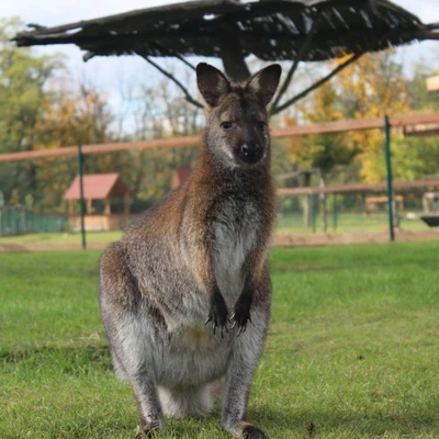 Zoopark Zelčín