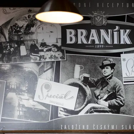 Branik Thematic block