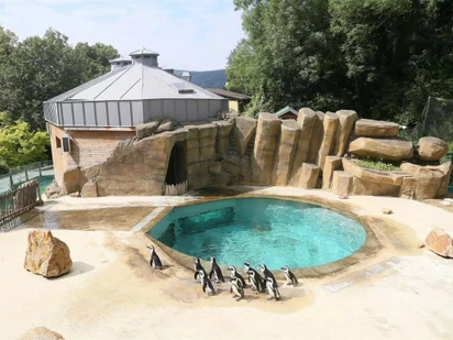 Zoologická zahrada Ústí nad Labem