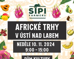 Africké trhy v Ústí nad Labem