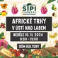 Africké trhy v Ústí nad Labem