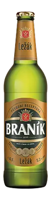 Branik lezak
