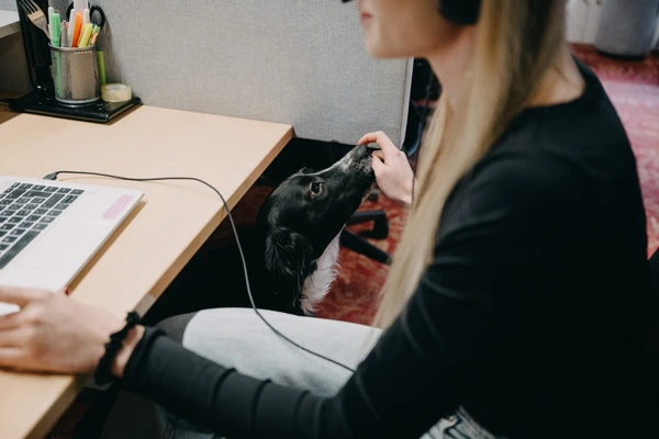 Kontaktni centrum Brno 1