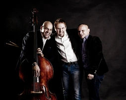 Otto Hejnic piano trio