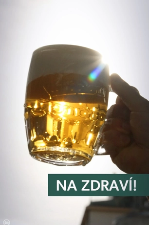 Nazdravi 790 526