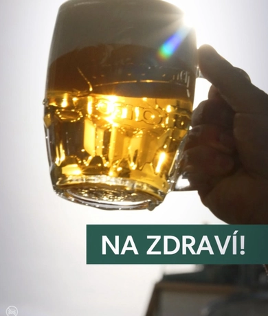 Nazdravi 790 526