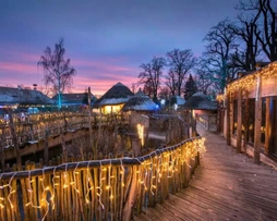 Vánočně nasvícená Zoo Hluboká nad Vltavou