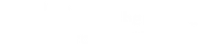 Footer logo white