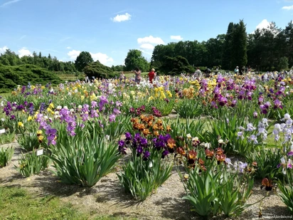 Průhonická botanická zahrada