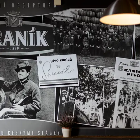 Branik Thematic block