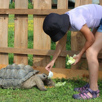 Zoopark Zelčín