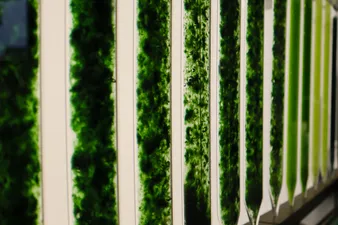 Cizkova 02 2026