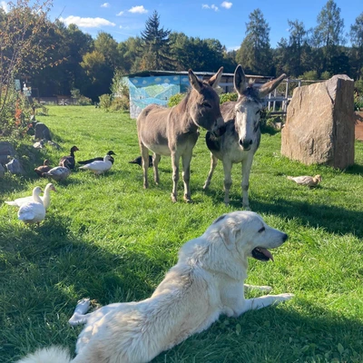 Pastvina: Jedlý park a Minizoo