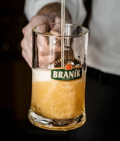 Branik 12