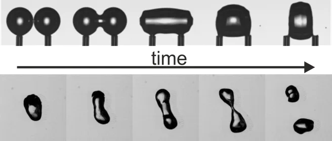 Fig1 EN 1