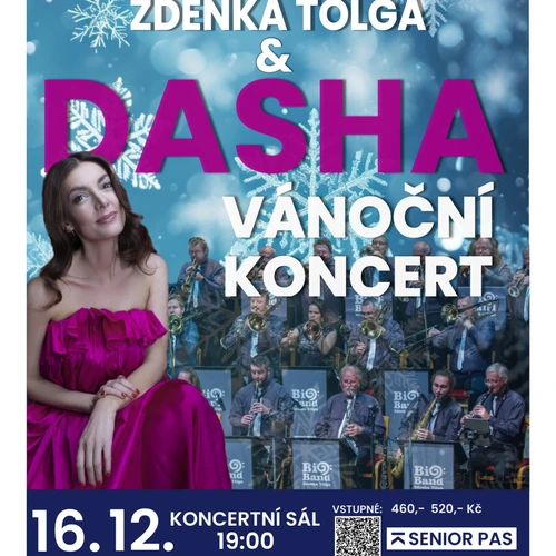 DASHA - Vánoční koncert v Teplicích