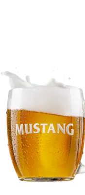 Mustang 10 stuc 1
