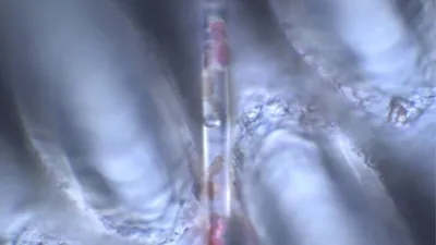 2023 04 mikroplasty1