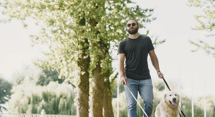 Guide dog helping blind man city handsome blind guy have rest with golden retriever city